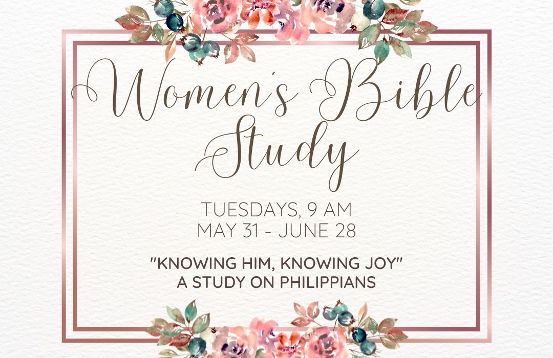 women's summer study image