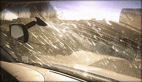 bug_crusted_windshield